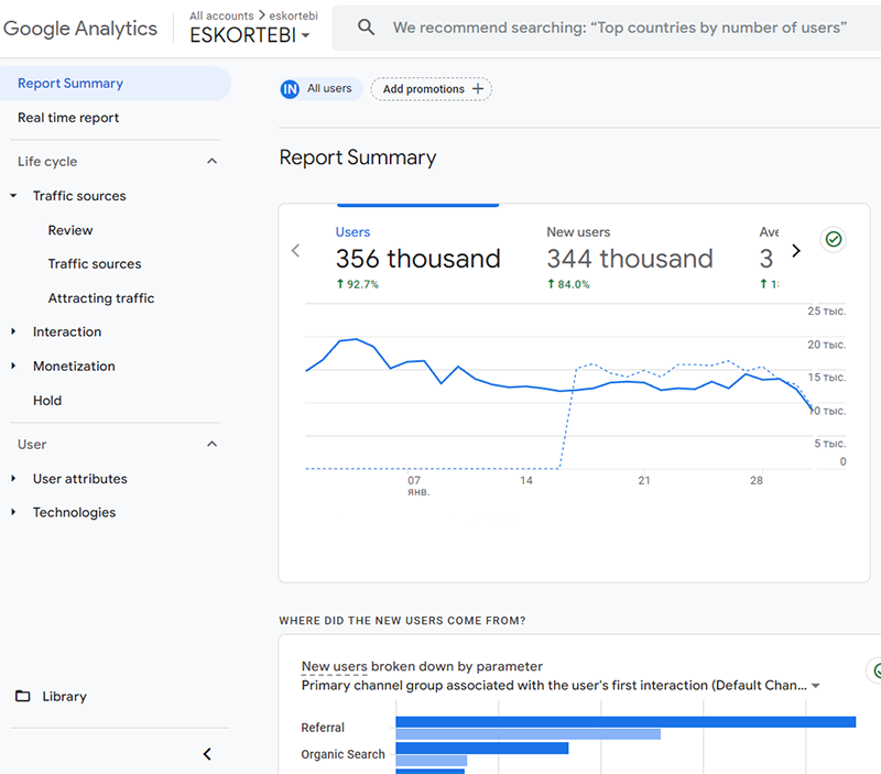 Google analytics report summary